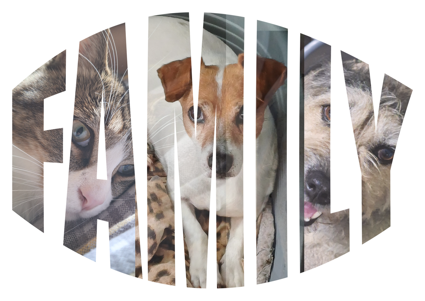 Custom Photos names.