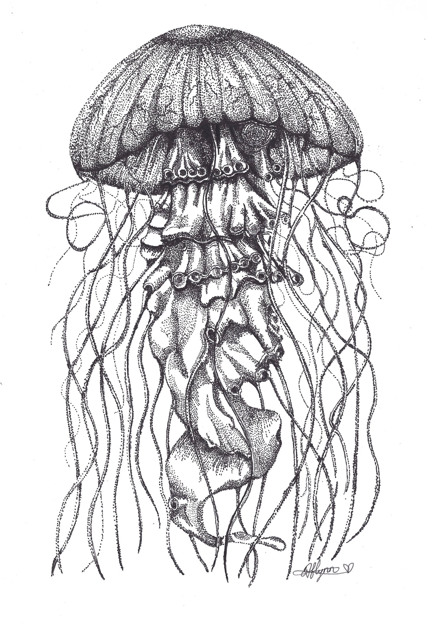 Jellyfish art title- “Tangled in”