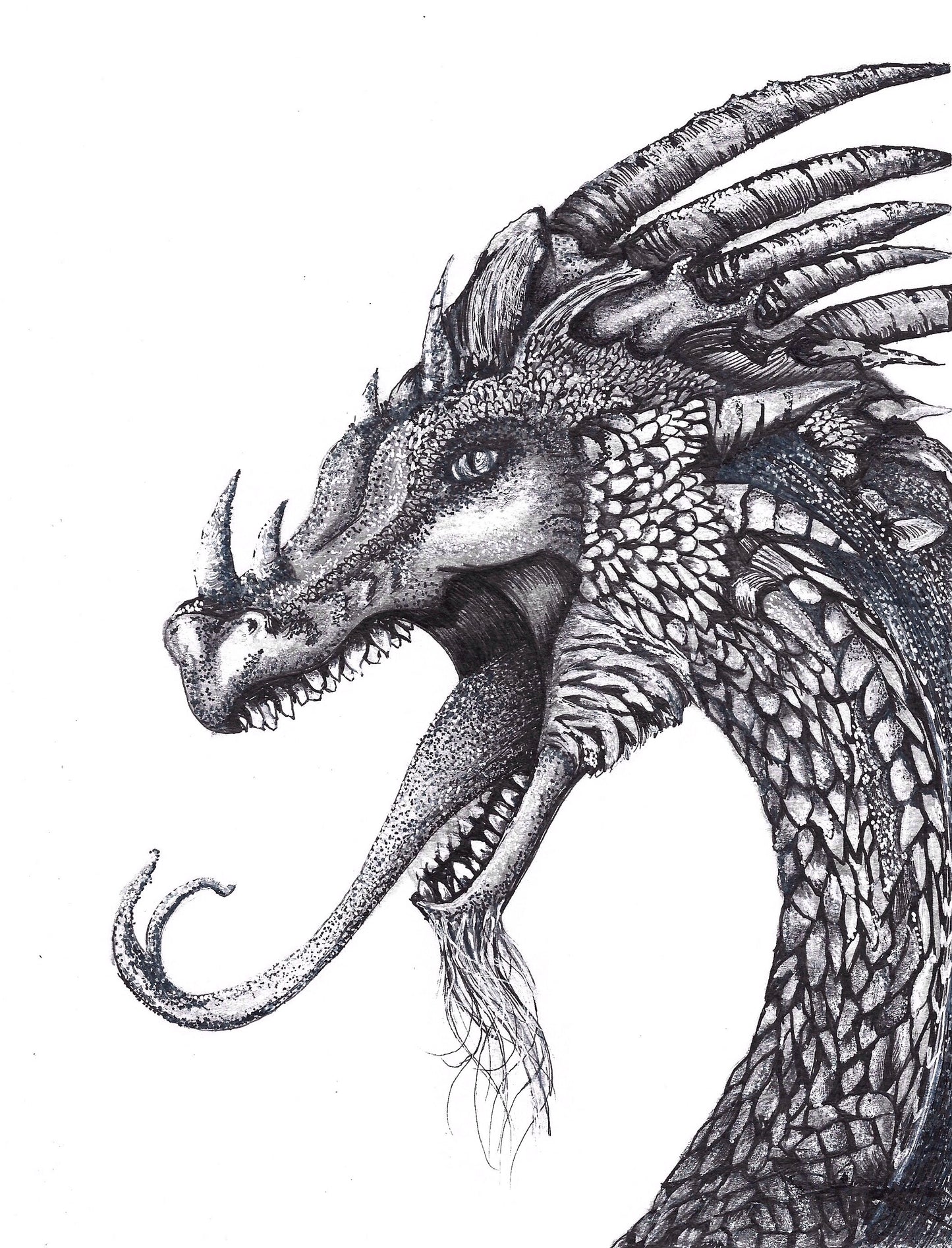 Dragon art