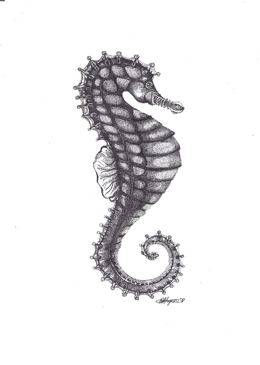 Seahorse.