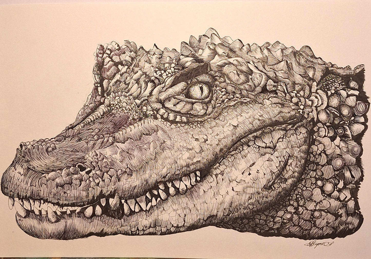 Alligator pen art